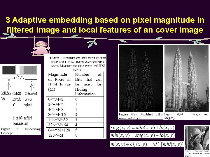 A High Embedding Capacity Approach to Adaptive Steganography