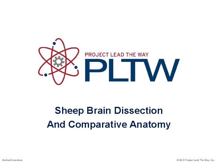 Sheep Brain Dissection And Comparative Anatomy Medical Detectives © 2013 Project Lead The Way,