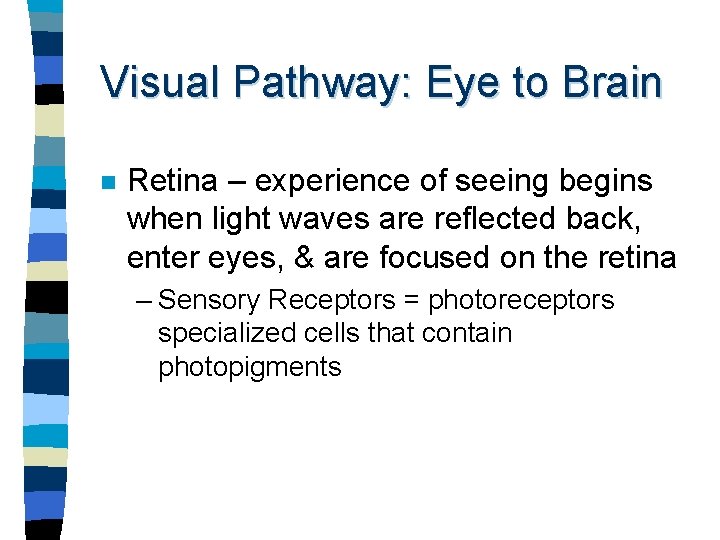 Visual Pathway: Eye to Brain n Retina – experience of seeing begins when light