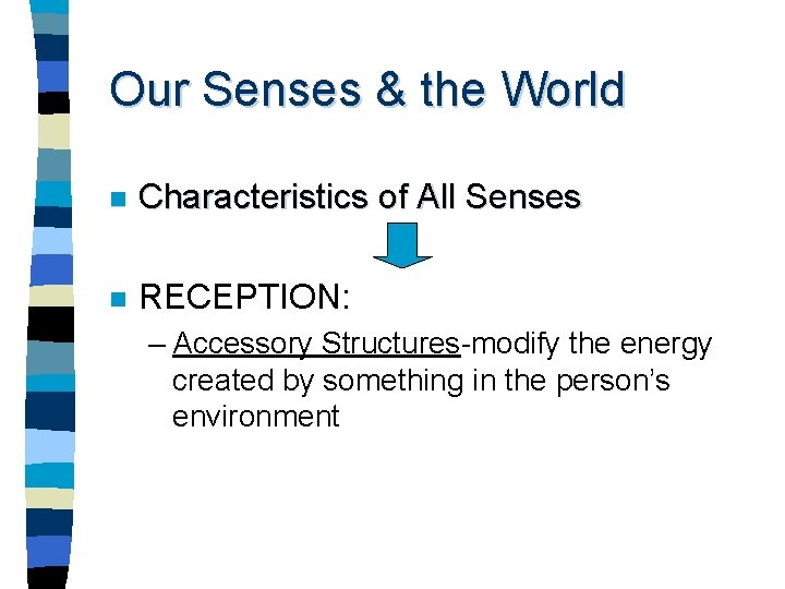 Our Senses & the World n Characteristics of All Senses n RECEPTION: – Accessory