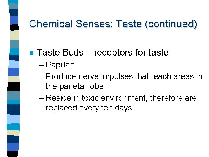 Chemical Senses: Taste (continued) n Taste Buds – receptors for taste – Papillae –