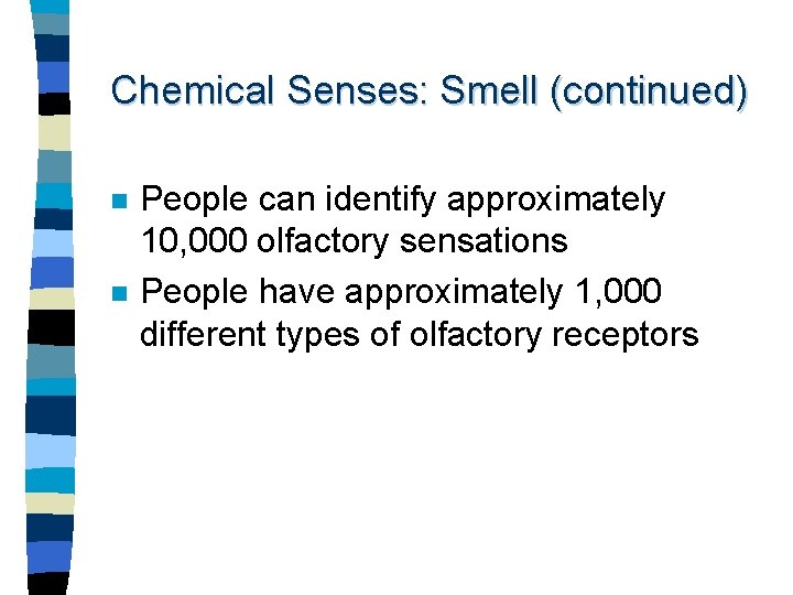 Chemical Senses: Smell (continued) n n People can identify approximately 10, 000 olfactory sensations