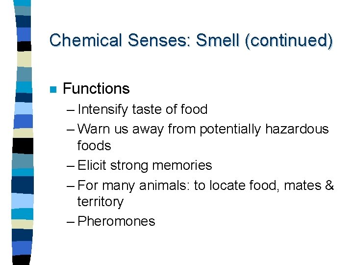 Chemical Senses: Smell (continued) n Functions – Intensify taste of food – Warn us