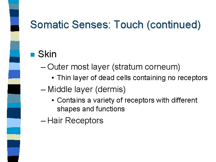 Somatic Senses: Touch (continued) n Skin – Outer most layer (stratum corneum) • Thin