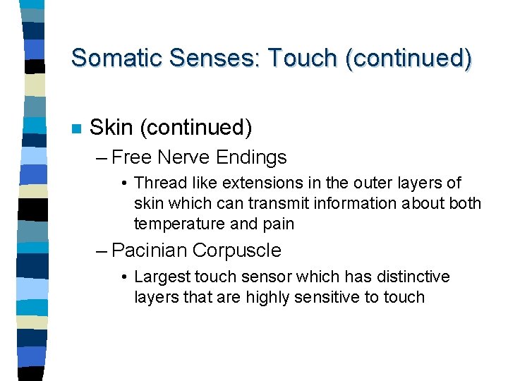 Somatic Senses: Touch (continued) n Skin (continued) – Free Nerve Endings • Thread like