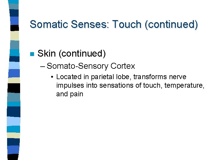 Somatic Senses: Touch (continued) n Skin (continued) – Somato-Sensory Cortex • Located in parietal
