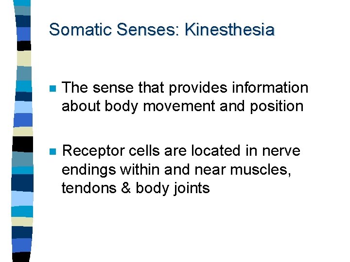 Somatic Senses: Kinesthesia n The sense that provides information about body movement and position