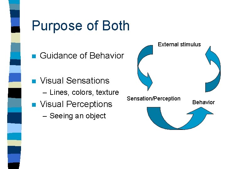 Purpose of Both External stimulus n Guidance of Behavior n Visual Sensations – Lines,