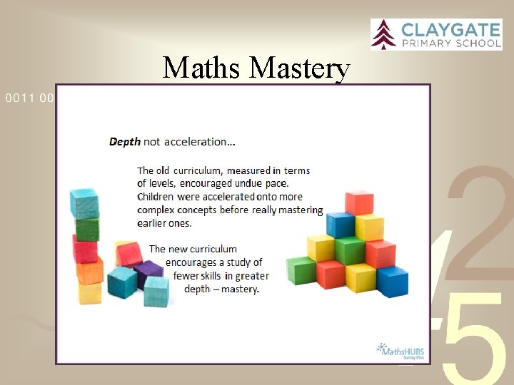 Maths Mastery 