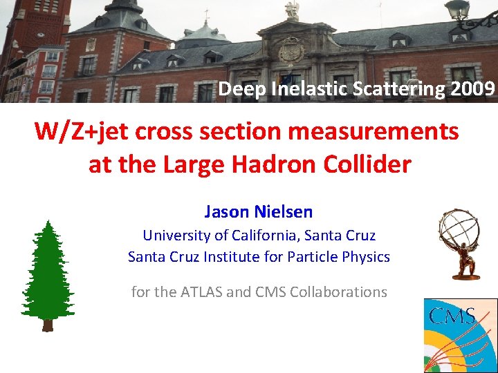 Deep Inelastic Scattering 2009 W/Z+jet cross section measurements at the Large Hadron Collider Jason