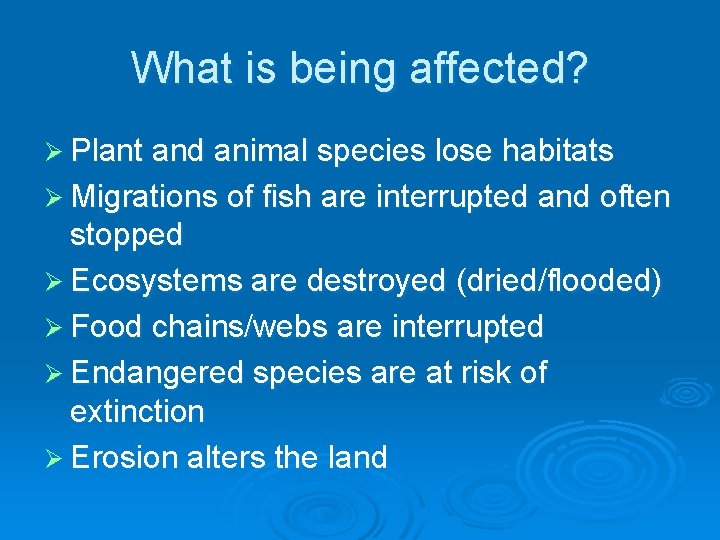 What is being affected? Ø Plant and animal species lose habitats Ø Migrations of