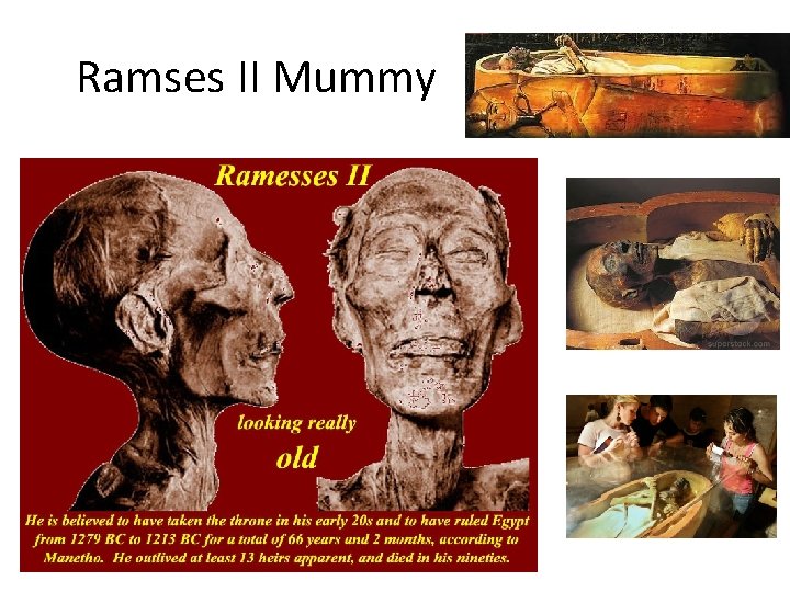 Ramses II Mummy Ramses II Mummy