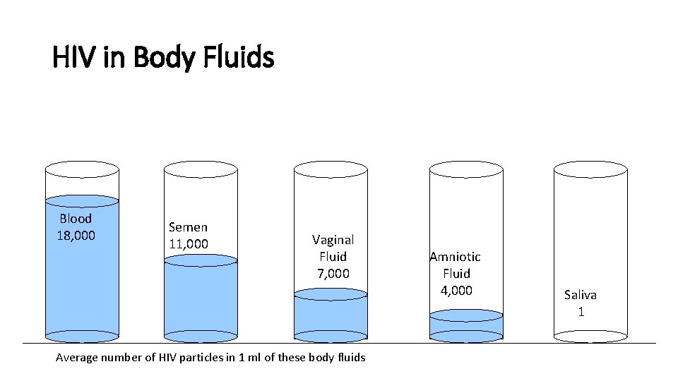 HIV in Body Fluids Blood 18, 000 Semen 11, 000 Vaginal Fluid 7, 000