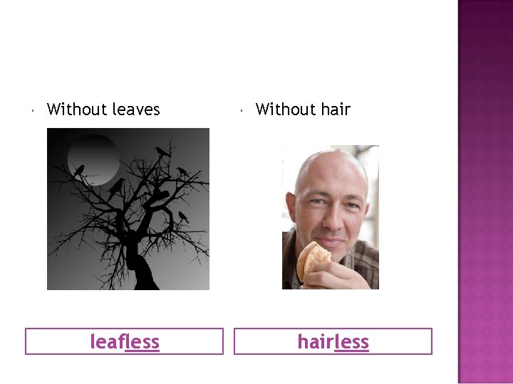  Without leaves leafless Without hairless 