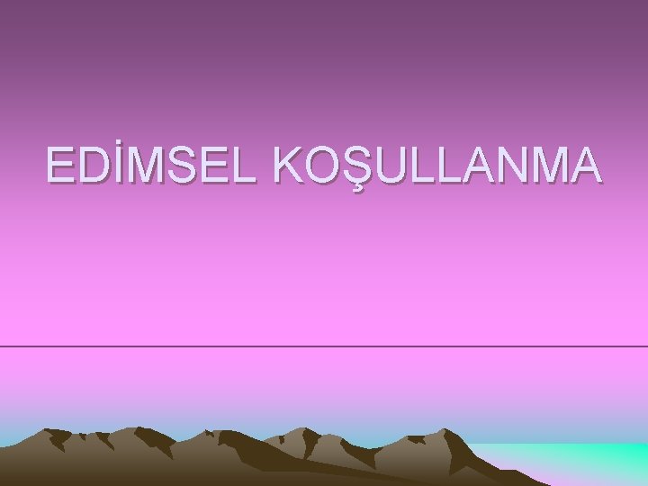 EDİMSEL KOŞULLANMA 