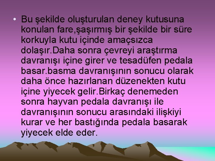  • Bu şekilde oluşturulan deney kutusuna konulan fare, şaşırmış bir şekilde bir süre