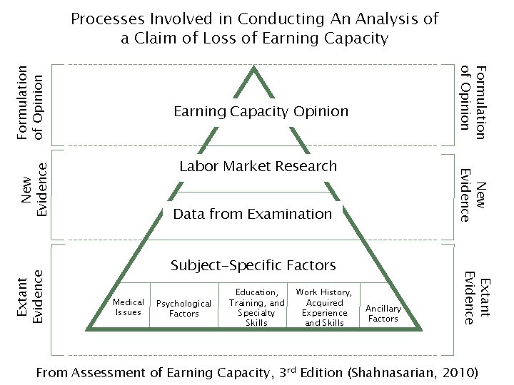 Earning Capacity Opinion New Evidence Labor Market Research New Evidence Data from Examination Subject-Specific