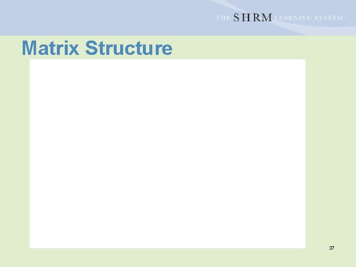 Matrix Structure 37 