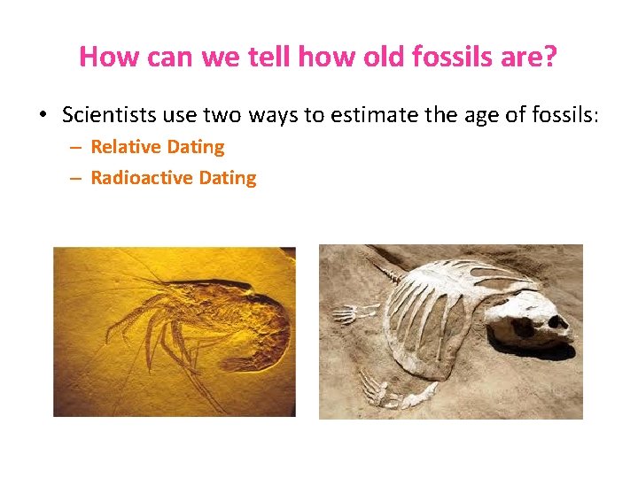 How can we tell how old fossils are? • Scientists use two ways to