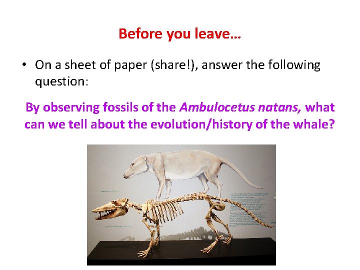 Before you leave… • On a sheet of paper (share!), answer the following question: