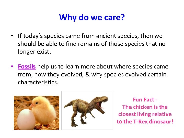 Why do we care? • If today’s species came from ancient species, then we