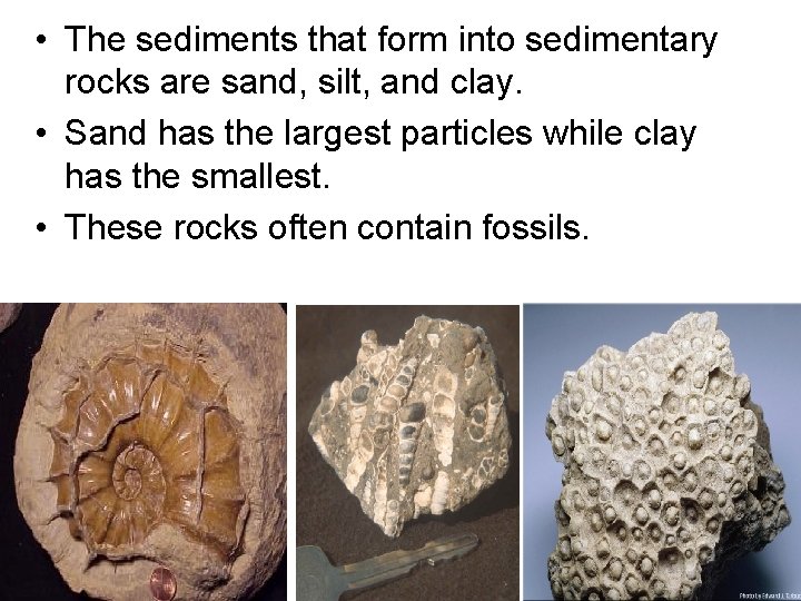  • The sediments that form into sedimentary rocks are sand, silt, and clay.