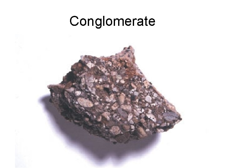 Conglomerate 