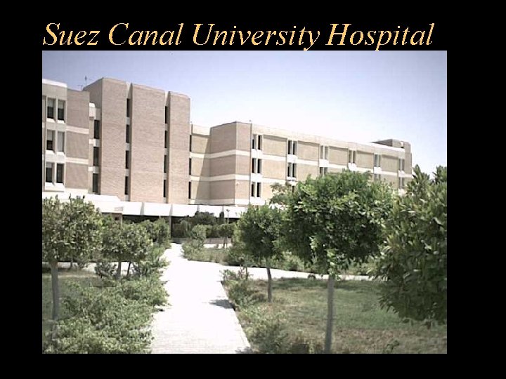 Suez Canal University Hospital 
