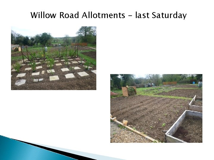 Willow Road Allotments – last Saturday 