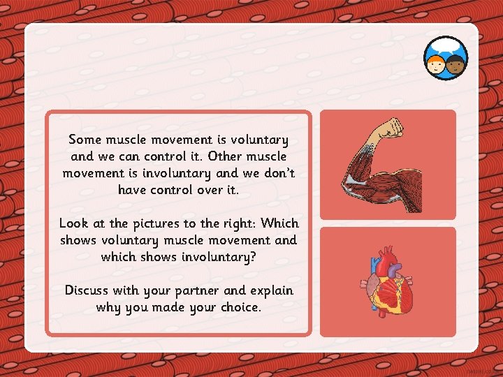 Some muscle movement is voluntary and we can control it. Other muscle movement is