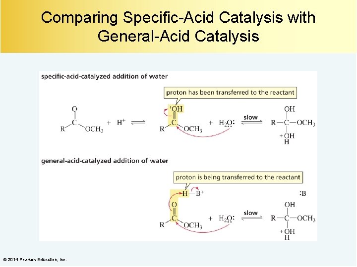 Comparing Specific-Acid Catalysis with General-Acid Catalysis © 2014 Pearson Education, Inc. 