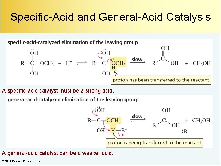 Specific-Acid and General-Acid Catalysis A specific-acid catalyst must be a strong acid. A general-acid