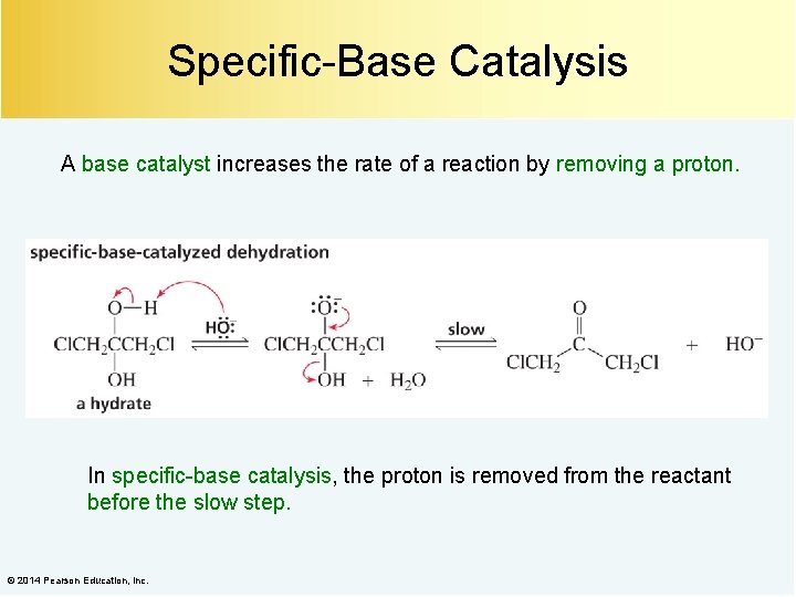 Specific-Base Catalysis A base catalyst increases the rate of a reaction by removing a