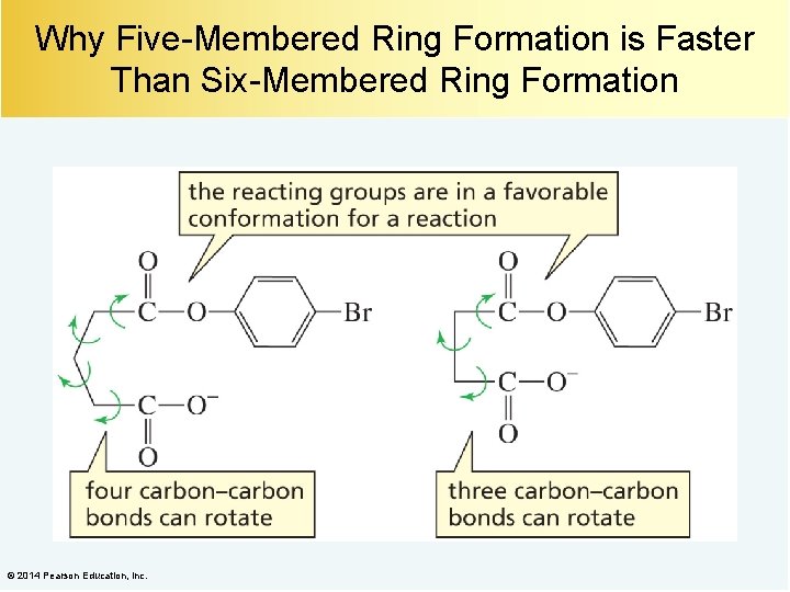 Why Five-Membered Ring Formation is Faster Than Six-Membered Ring Formation © 2014 Pearson Education,
