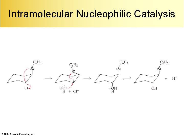 Intramolecular Nucleophilic Catalysis © 2014 Pearson Education, Inc. 