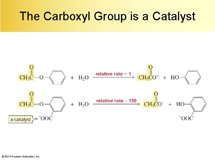 The Carboxyl Group is a Catalyst © 2014 Pearson Education, Inc. 