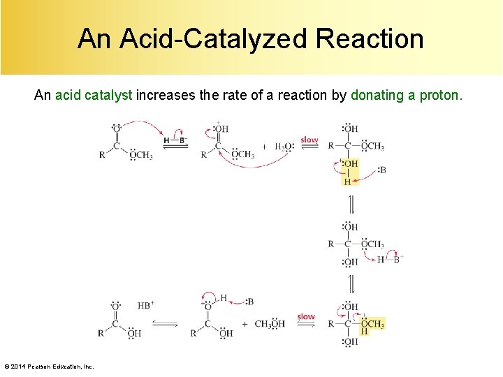 An Acid-Catalyzed Reaction An acid catalyst increases the rate of a reaction by donating