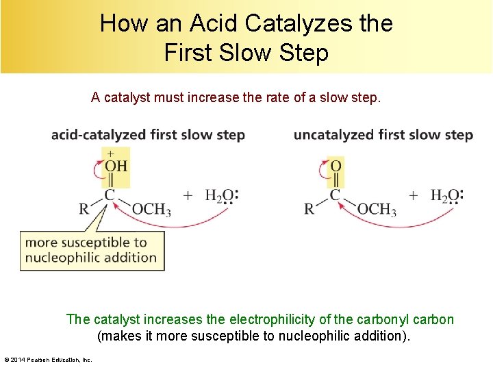 How an Acid Catalyzes the First Slow Step A catalyst must increase the rate
