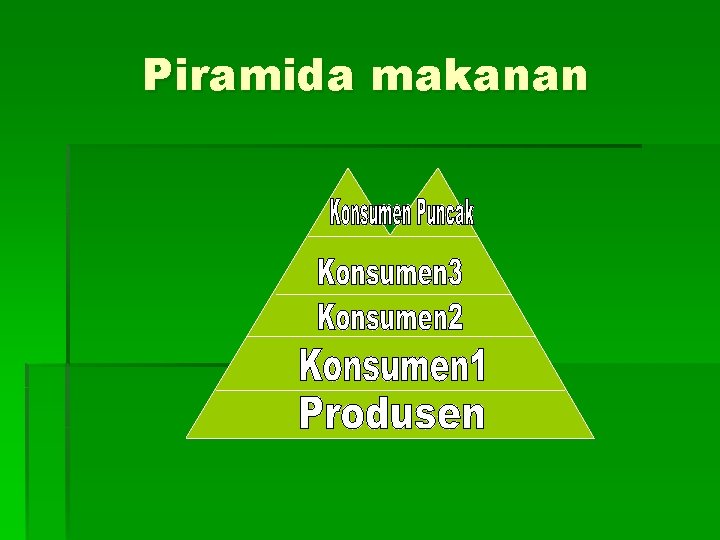 Piramida makanan 