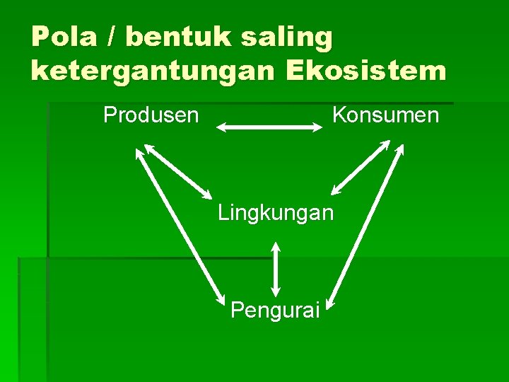 Pola / bentuk saling ketergantungan Ekosistem Produsen Konsumen Lingkungan Pengurai 