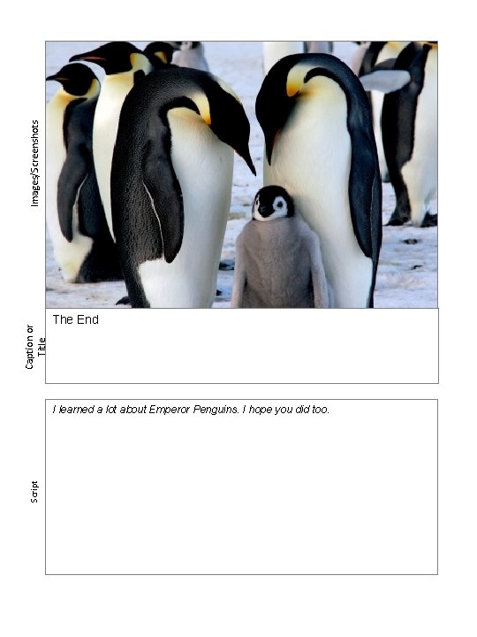 Images/Screenshots Caption or Title The End Script I learned a lot about Emperor Penguins.