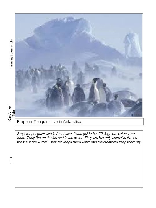 Images/Screenshots Caption or Title Emperor Penguins live in Antarctica. Script Emperor penguins live in
