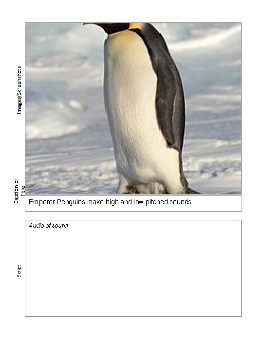 Images/Screenshots Caption or Title Emperor Penguins make high and low pitched sounds Script Audio