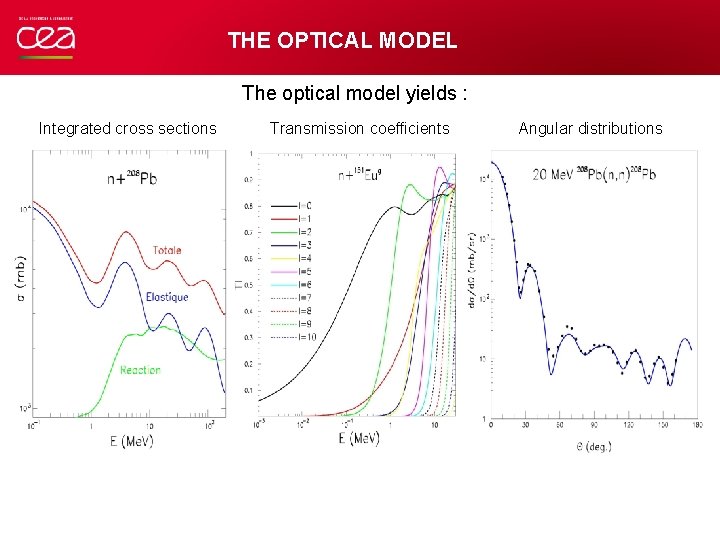 THE OPTICAL MODEL The optical model yields : Integrated cross sections Transmission coefficients Angular
