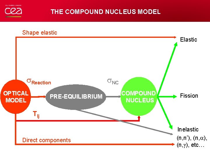 THE COMPOUND NUCLEUS MODEL Shape elastic Elastic Reaction OPTICAL MODEL PRE-EQUILIBRIUM NC COMPOUND NUCLEUS