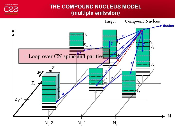 THE COMPOUND NUCLEUS MODEL (multiple emission) Target Compound Nucleus fission E S Sp n’