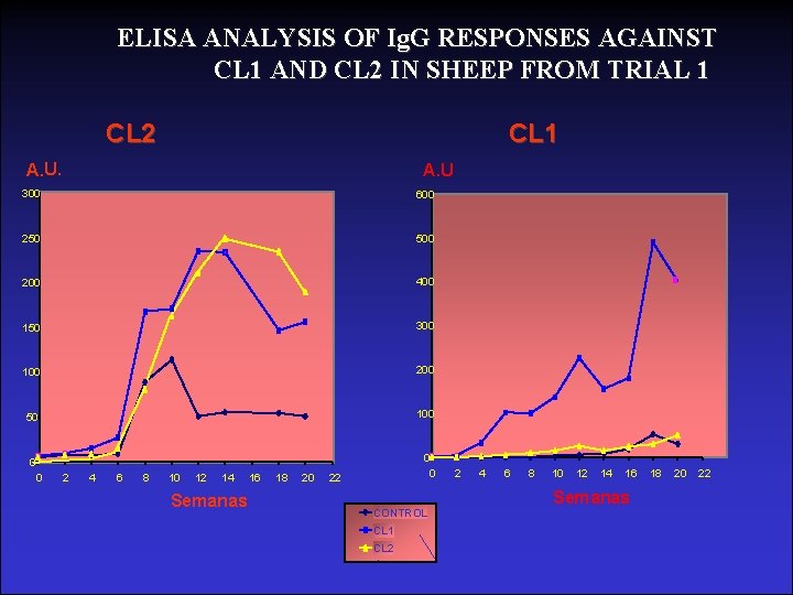 ELISA ANALYSIS OF Ig. G RESPONSES AGAINST CL 1 AND CL 2 IN SHEEP