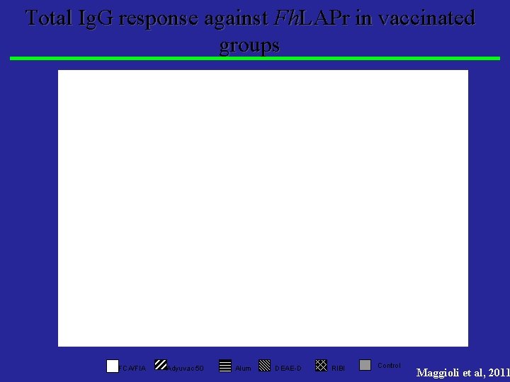 Total Ig. G response against Fh. LAPr in vaccinated groups FCA/FIA Adyuvac 50 Alum