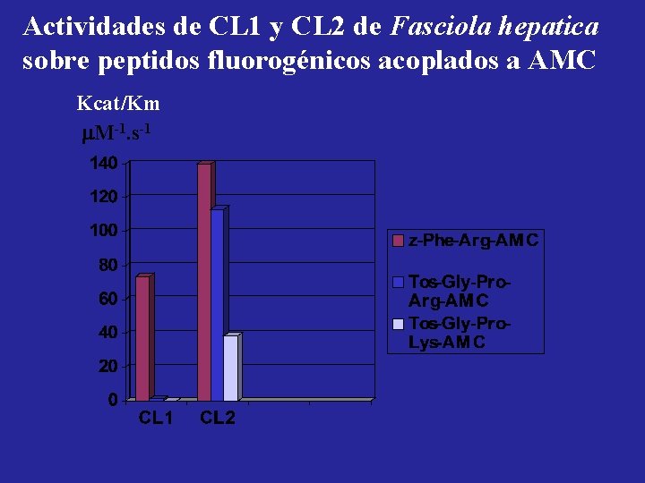 Actividades de CL 1 y CL 2 de Fasciola hepatica sobre peptidos fluorogénicos acoplados