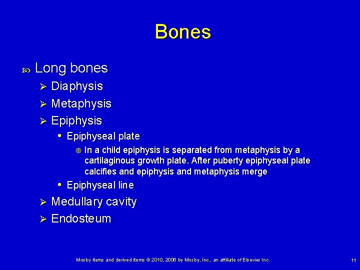 Bones Long bones Diaphysis Ø Metaphysis Ø Epiphysis • Epiphyseal plate Ø In a